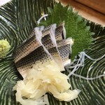 楽座 - こはだ刺身・￥850。これもアジ刺同様少ない。
