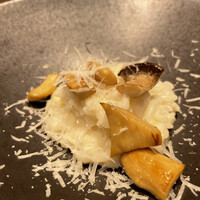 タケル クインディチ(LOQUAT) 西伊豆 - 