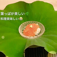 緒方 - 