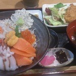 ちりめん・しらす専門店 凪 - 海鮮丼のランチセット。