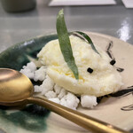 アントシカダ - 