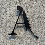 アントシカダ - 