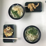 Fujimi Udon - 