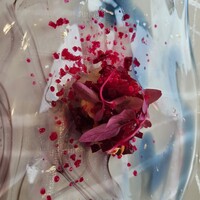 クイントカント - 