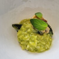 クイントカント - 