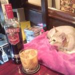 猫 - 自家製コーヒーウォッカできました。その名も「黒猫」です。豆乳を入れたカクテルは「アクビちゃん」と命名！