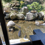 新屋 - 池の鯉～☆