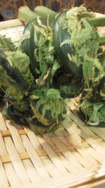 夕日家串揚げ - 鶴岡（居酒屋）の写真