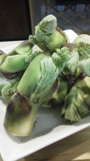 夕日家串揚げ - 鶴岡（居酒屋）の写真