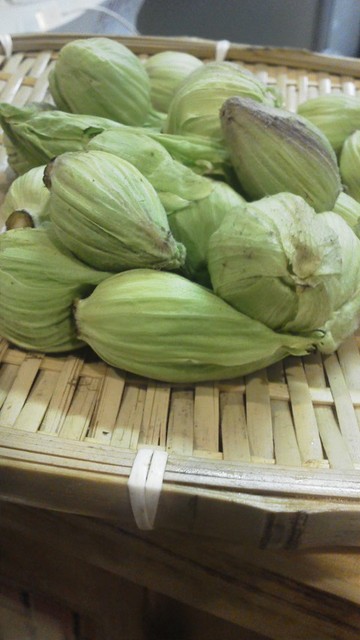 夕日家串揚げ - 鶴岡（居酒屋）の写真