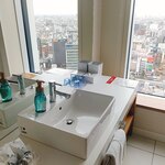 Nagoyajeiarugetohausu - トレインビューの洗面所