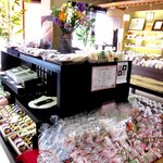 新松月 - (2013,03/03)