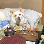 小野川温泉　吾妻荘 - 愛犬も一緒に夕食（＾ν＾）