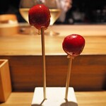 薪鳥新神戸 - 果実飴（縦）