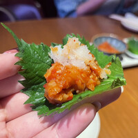 Japanese Restaurant KINZA - 