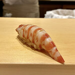 鮨 はしもと - 車海老
      安定の美味しさです♪