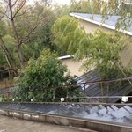 エルルカン・ビス - 13.2月　