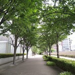 ラーメン二郎 - 帰り道も緑が奇麗