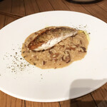 マカウダ - 天然鯛とポルチーニ茸のリゾット（1,900円）