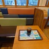 カフェ ド クリエ 文京シビックセンター