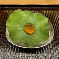 鎌倉 北じま - スッポンの煮こごり