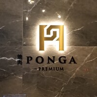 PONGA PREMIUM - 