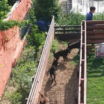 リラクゼーションカフェ TORA - 