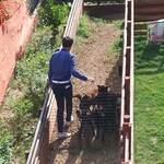 リラクゼーションカフェ TORA - 