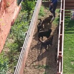 リラクゼーションカフェ TORA - 