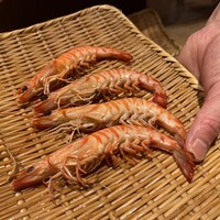 恵比寿 鮨 ふじまさ - 