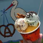 アイスクリーム デーツバニラ＆チョコミント＆マンゴーソルベ