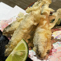 和酒和食 恵比寿 黒帯 - 