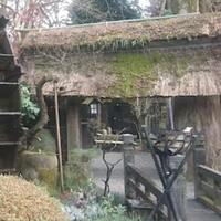 黒茶屋 - 