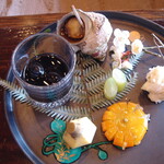 古高山荘　峴山亭 - 2011年1月