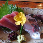 古高山荘　峴山亭 - 2011年6月