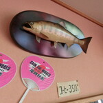 魚山亭　やまぶき - 大ヤマメの剥製
