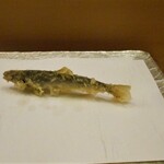 和食堂 山里 - 稚鮎