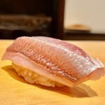 鮨 はしもと - 2022.5.  春子鯛