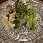 イル アオヤマ - 