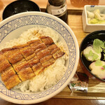 176807609 - 鰻丼