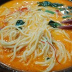 横丁ラーメン朝熊 - 担々麺の麺アップ