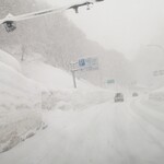 河鹿荘 - 山の上は降ってます