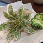 旬魚菜 しら川 - 