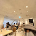 ナナズグリーンティー - 