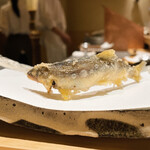 にい留 - サイズ的に今シーズンラストの稚鮎