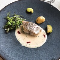 サンシャイン クルーズ・クルーズ - 