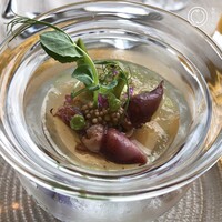 サンシャイン クルーズ・クルーズ - 