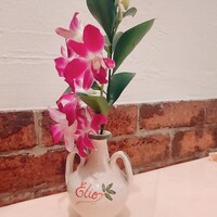 エリオ・ロカンダ・イタリアーナ - 