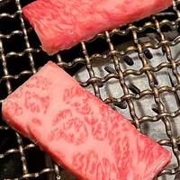 日本焼肉 はせ川 銀座店 - 