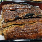 Unagi No Shimpo - 